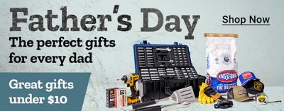 Tractor Supply Company Father's Day promotion. The perfect gifts for every dad with great gifts under 10 dollars. Image shows tool kit, drill, grilling supplies, hats, gloves, tape measure, and outdoor gear. Shop Now.