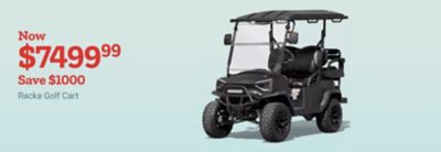 Now 7,499 dollars and 99 cents. Save 1,000 dollars on a Racka golf cart. Black four seat golf cart displayed on a light blue background.