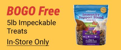 Now 15 dollars. Save up to 9 dollars and 99 cents. Windchimes. Black hanging wind chime with decorative bird and sun accents displayed on a yellow background. In-store only.