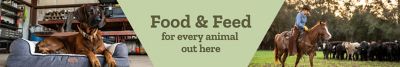 Food and feed for every animal out here. Brown dog resting on a dog bed inside a workshop on the left, and person riding a horse beside cattle in a field on the right, with a green center banner containing the headline text.