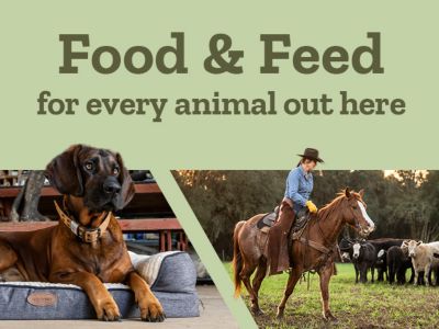 Food and feed for every animal out here. Brown dog resting on a dog bed inside a workshop on the left, and person riding a horse beside cattle in a field on the right, with a green center banner containing the headline text.