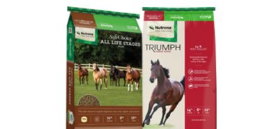 Nutrena Horse Feed
