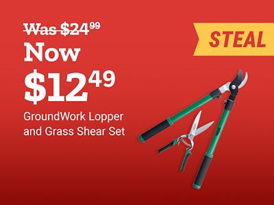 Steal deal on the GroundWork Lopper and Grass Shear Set. Save Now. Image shows a long-handled lopper and matching hand grass shears with green handles.