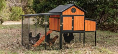 Producer's Pride Sentinel Chicken Coop