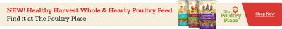 New Healthy Harvest Whole & Hearty poultry feed for chickens and poultry. Shop layer feed, grower feed, and flock favorites at The Poultry Place.