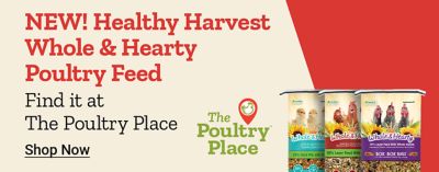 New Healthy Harvest Whole & Hearty poultry feed for chickens and poultry. Shop layer feed, grower feed, and flock favorites at The Poultry Place.