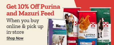 Save 10 percent on Purina and Mazuri animal feed when you buy online and pick up in store. Shop feed for poultry, horses, goats, pigs, and more.