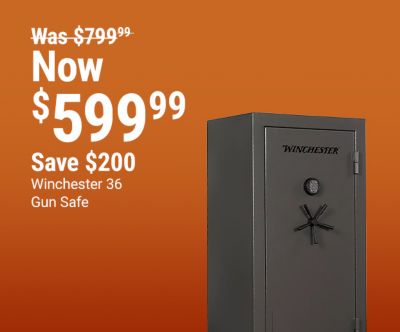 Winchester 36 gun safe now 599.99 was 799.99 save 200 dollars. Cannon 64 gun safe now 999.99 was 1299.99 save 300 dollars. Special financing available. Image shows Winchester and Cannon gun safes with TSC credit card financing graphic.
