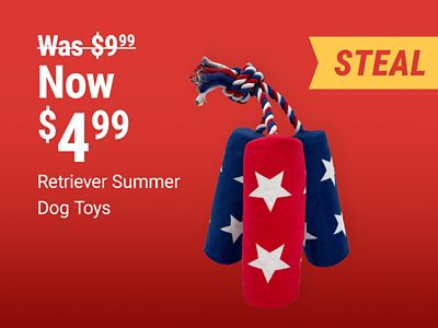 Retriever summer dog toys now 4.99 was 9.99. Image shows a patriotic red, white, and blue rope dog toy with a featured steal deal badge.