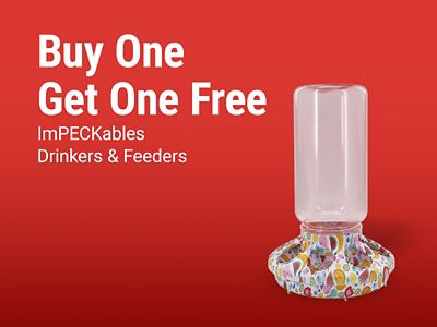 Buy one get one free ImPECKables drinkers and feeders. Image shows an ImPECKables poultry waterer with a colorful chick pattern on a red background.