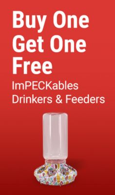 Buy one get one free ImPECKables drinkers and feeders. Image shows an ImPECKables poultry waterer with a colorful chick pattern on a red background.
