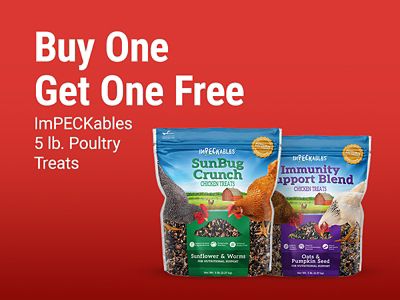 Buy one get one free ImPECKables 5 pound poultry treats. Image shows bags of ImPECKables SunBug Crunch and Immunity Support Blend chicken treats on a red background.