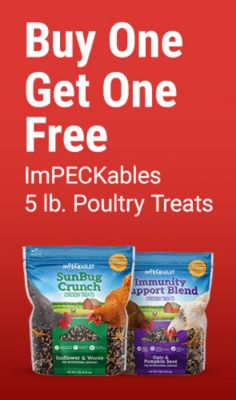 Buy one get one free ImPECKables 5 pound poultry treats. Image shows bags of ImPECKables SunBug Crunch and Immunity Support Blend chicken treats on a red background.