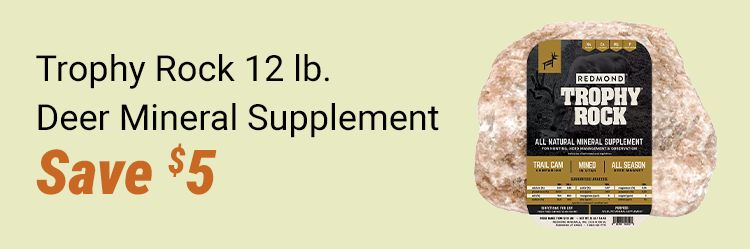 Five for 5 dollars. Royal Wing suet. Blue package of Royal Wing peanut suet bird feed displayed on a yellow background. In-store only.