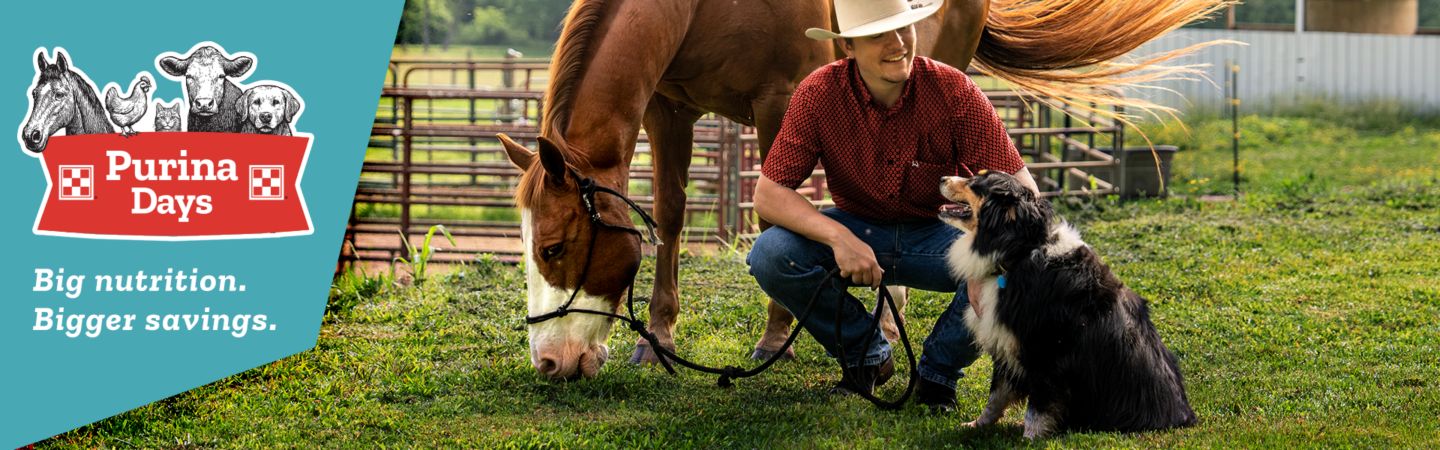 Purina Days promotion banner. A man in a cowboy hat kneels beside a brown horse and a black and white dog in a grassy paddock. The left side features the Purina Days logo with illustrations of a horse, cow, cat, and dog. Text reads: "Big nutrition. Bigger savings."