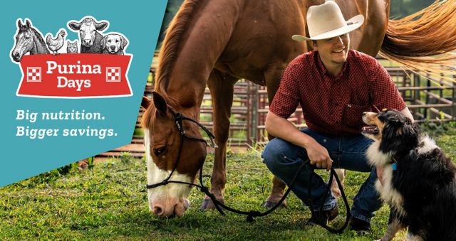 Purina Days promotion banner. A man in a cowboy hat kneels beside a brown horse and a black and white dog in a grassy paddock. The left side features the Purina Days logo with illustrations of a horse, cow, cat, and dog. Text reads: "Big nutrition. Bigger savings."