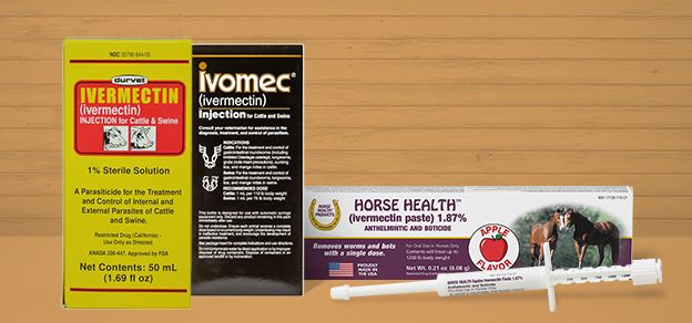 Feed mineral - nutritional supplement 