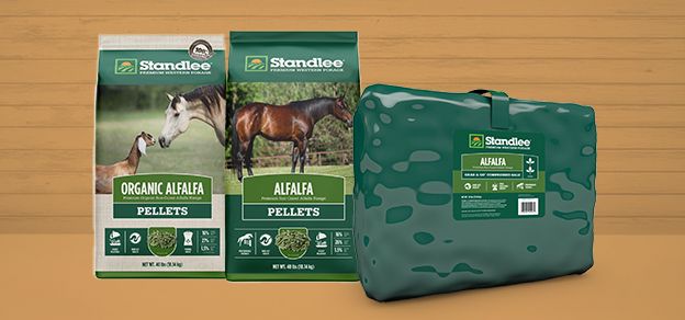 Purina Horse Feed