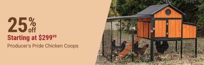 Save 25% on Producer's Pride chicken coops, starting at $299.99. Promotional banner featuring a Producer's Pride chicken coop with chickens.