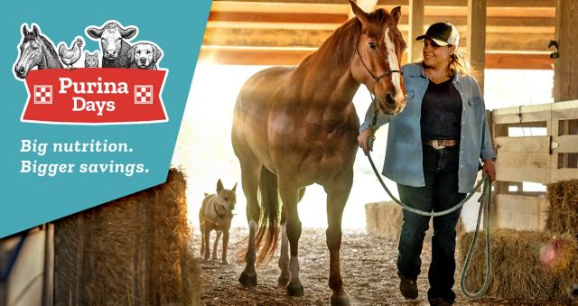Purina Days promotion banner. A man in a cowboy hat kneels beside a brown horse and a black and white dog in a grassy paddock. The left side features the Purina Days logo with illustrations of a horse, cow, cat, and dog. Text reads: "Big nutrition. Bigger savings."