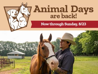 Animal Days are back, now through Sunday, August 23. Promotional banner
  featuring a person with a horse alongside Animal Days branding with horse, dog, and chick illustrations.