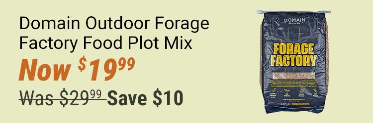 Was 17 dollars and 99 cents. Now 10 dollars. First Class pool noodles. Red textured foam pool noodle displayed on a yellow background. In-store only.