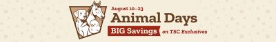Summer Steals and Deals.