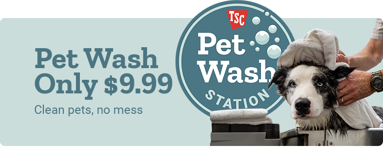 Pet Wash Only $9.99. Clean pets, no mess. Tractor Supply Co. Pet Wash Station logo with bubbles on a light blue background. A black and white dog is being dried with a towel at the washing station.