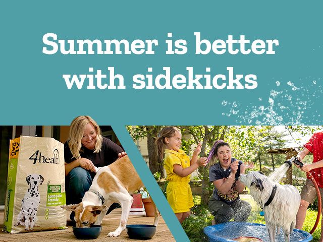 A cheerful banner showing the joys of summer with dogs and families. On the left,a woman smiles as her dog eats from a bowl beside a large bag of 4health®Lamb &Rice Formula dog food. Center text reads:“Summer is better with sidekicks”. On the right,children and a woman laugh while spraying a large white dog with a garden hose as it stands in a blue kiddie pool on a sunny day.