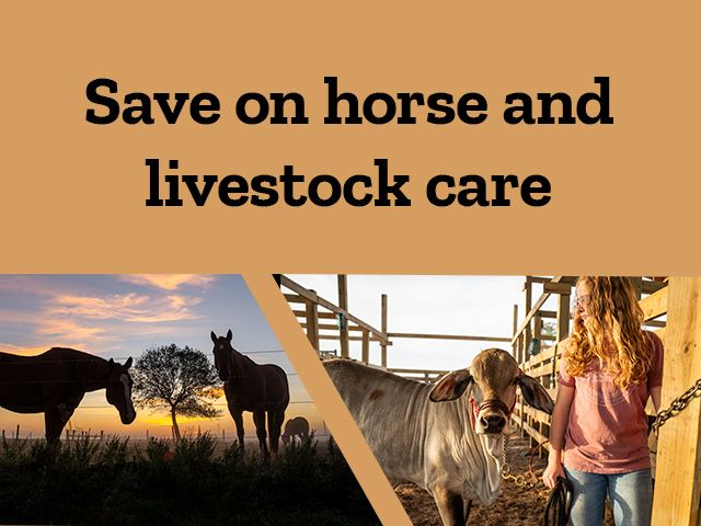 Save on horse and livestock care. A banner promoting savings on farm animal supplies. The left side of the image shows the silhouettes of two horses grazing in a field at sunset. The right side shows a woman standing in front of a stall,looking at a cow.