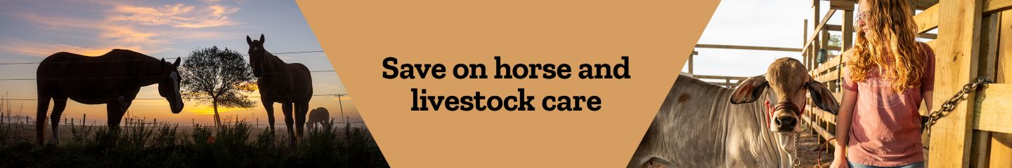Save on horse and livestock care. A banner promoting savings on farm animal supplies. The left side of the image shows the silhouettes of two horses grazing in a field at sunset. The right side shows a woman standing in front of a stall,looking at a cow.