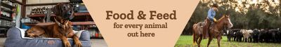 Feed and food for every animal out here.