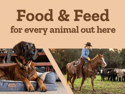 Feed and food for every animal out here.
