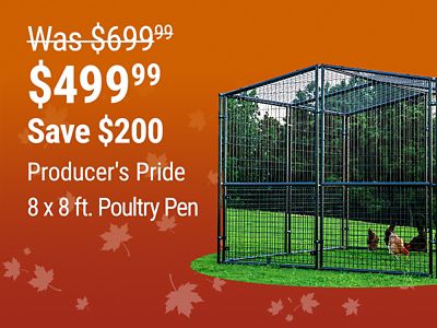 Tractor Supply Company promotion. Producer's Pride 8 by 8 foot poultry pen now 499.99, was 699.99, save 200 dollars. Image shows a large enclosed metal poultry pen with chickens on an orange fall background.