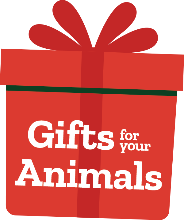 Gifts for animals