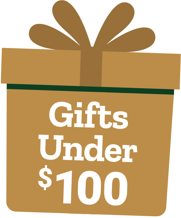 Gifts under $100