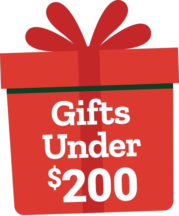 Gifts under $200