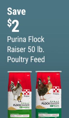 Save $2 on Purina Flock Raiser 50 lb. poultry feed for backyard birds, available in pellets and crumbles.