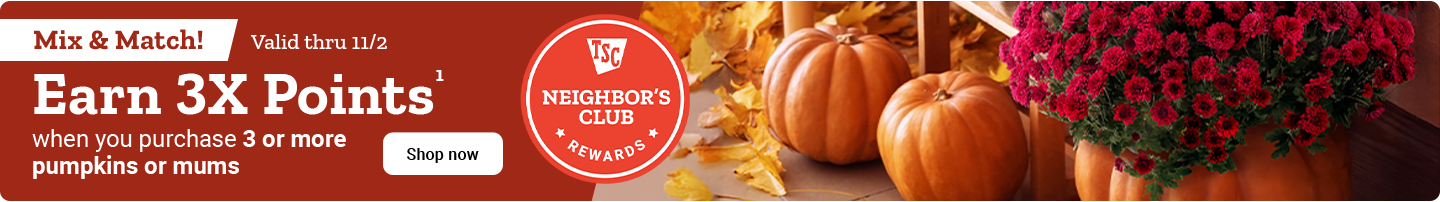 Tractor Supply Company Neighbor's Club promotion. Earn 3X points when you purchase 3 or more pumpkins or mums. Mix and match offer. Valid thru November 2. Image shows pumpkins and red mums with fall leaves. Shop Now button displayed.