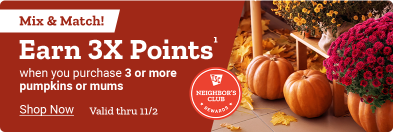 Tractor Supply Company Neighbor's Club promotion. Earn 3X points when you purchase 3 or more pumpkins or mums. Mix and match offer. Valid thru November 2. Image shows pumpkins and red mums with fall leaves. Shop Now button displayed.