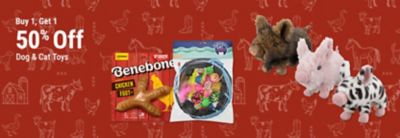 Buy one, get one 50% off dog and cat toys, featuring Benebone dog chews, Cat Craft cat toys, and plush animal dog toys.
