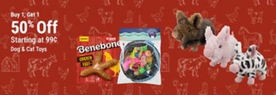 Buy one, get one 50% off dog and cat toys, starting at 99 cents. Featuring Benebone dog chews, Cat Craft cat toys, and plush animal dog toys.