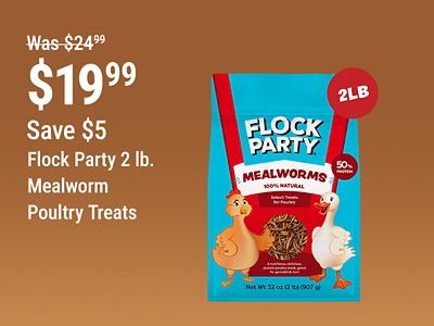 Tractor Supply Company promotion. Flock Party 2 pound mealworm poultry treats now 19.99, was 24.99, save 5 dollars. Image shows a bag of Flock Party Mealworms poultry treats on a brown background.
