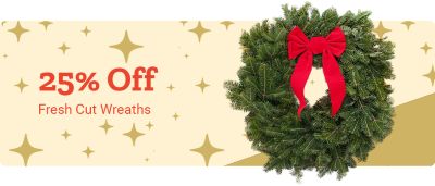 Tractor Supply Co. banner promoting 10 percent off 3 point equipment. The image features yellow CountyLine rotary tiller and mower attachments against a brown background.