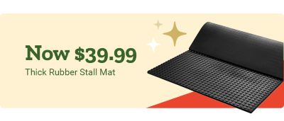 Tractor Supply Co. banner promoting a Cannon 64 Gun Safe on sale. Text reads Save 500 Now 799.99. The ad features a large gray Cannon gun safe with a silver locking handle and a brown gradient background.