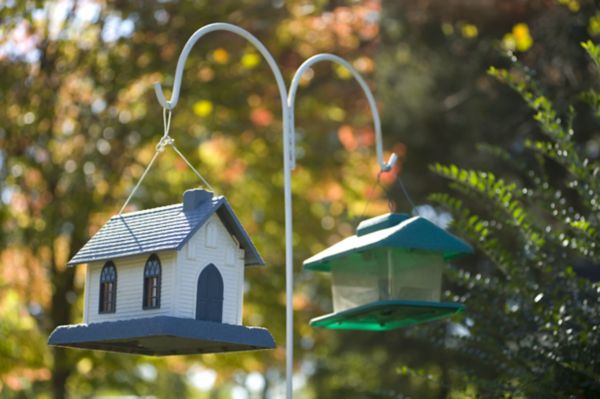 Tractor supply outlet bird houses