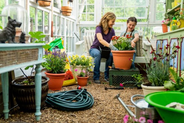 High Tensile Fence: Benefits & Building Guide