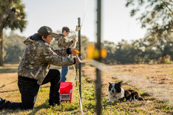 Fencing  Tractor Supply Co.