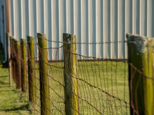 Dog fences at outlet tractor supply