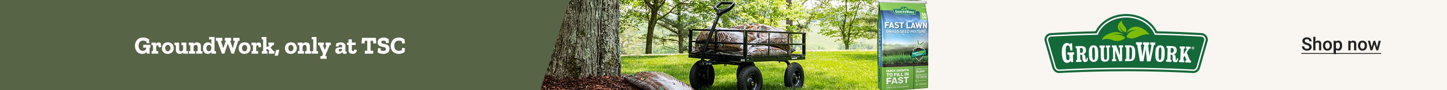 GroundWork, only at TSC